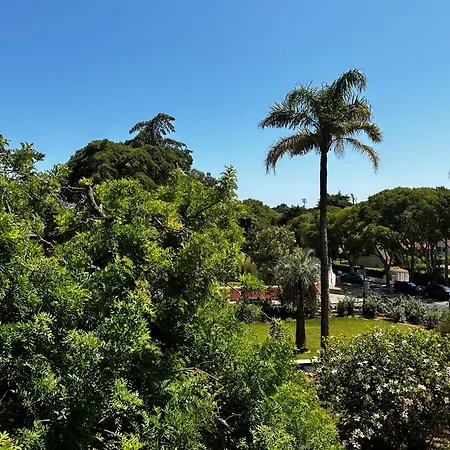 Casa de hóspedes Ficalho 4*